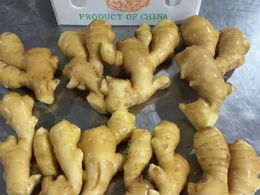 鲜姜