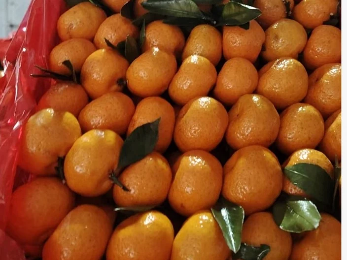 南丰蜜桔